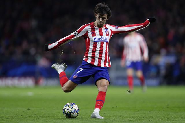 森林狼在这 森林狼在这